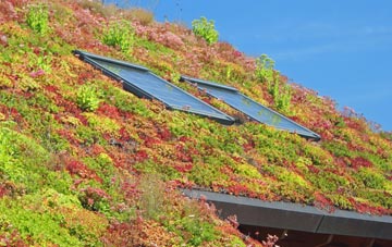 Wath Upon Dearne living roof systems